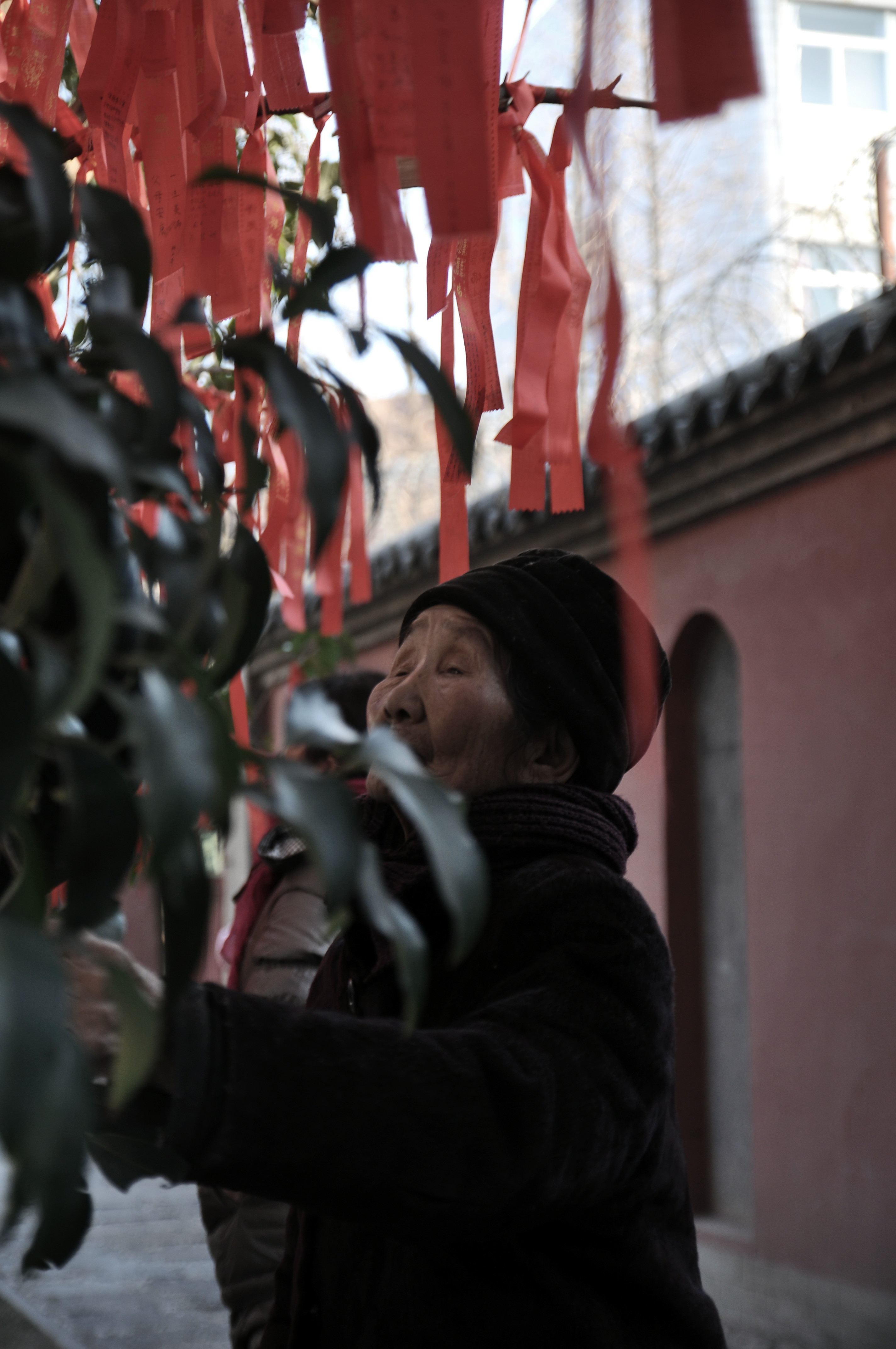 DSC_0040_副本.jpg