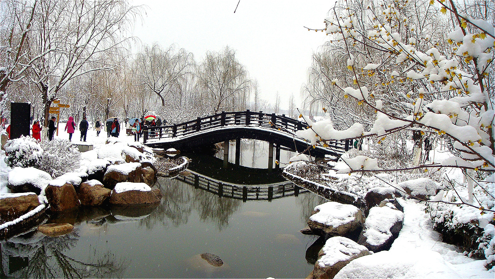 DSC04966_meitu_72.jpg