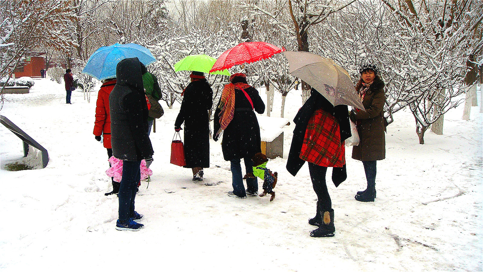 DSC04972_meitu_78.jpg