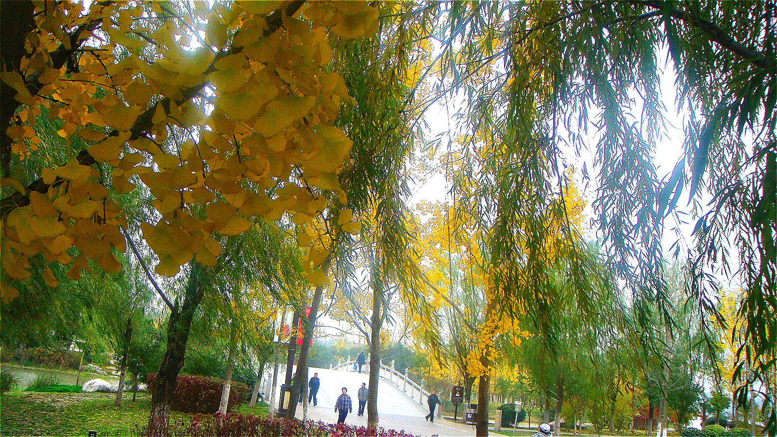 DSC02034_meitu_39.jpg