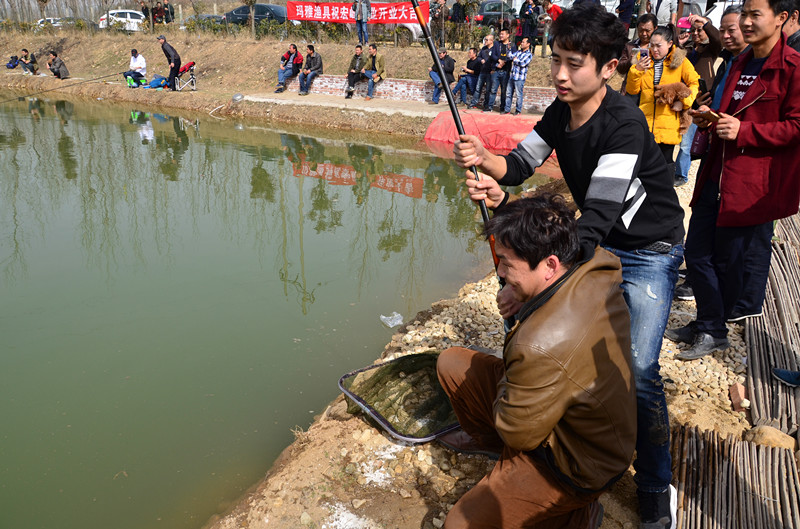 DSC_4067_副本.jpg