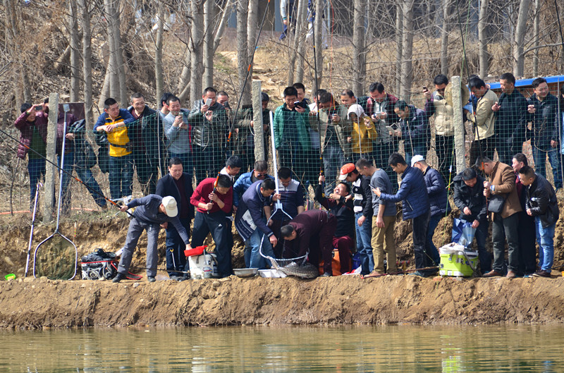 DSC_4094_副本.jpg