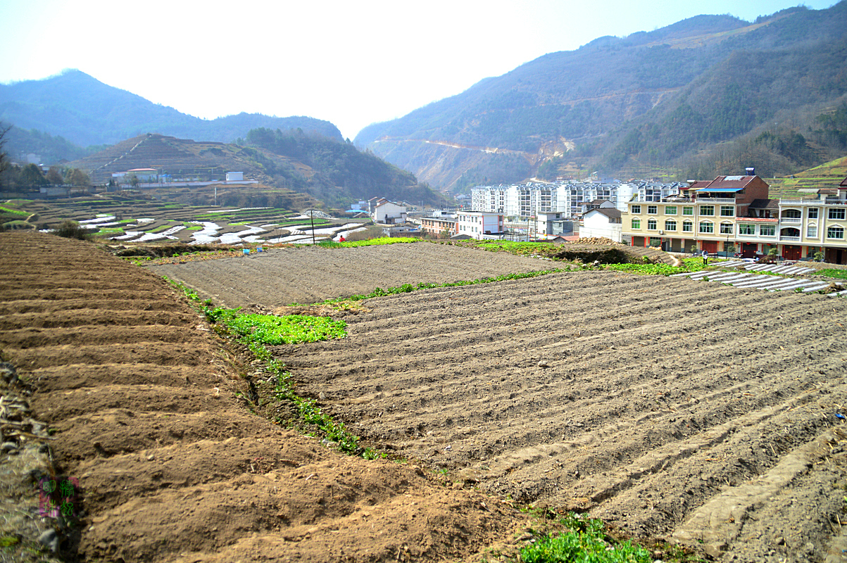 DSC_1930_副本.JPG