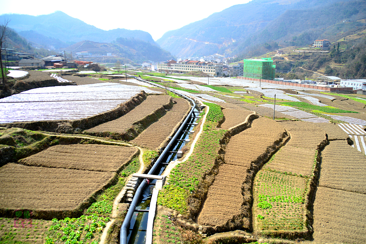 DSC_1939_副本.JPG