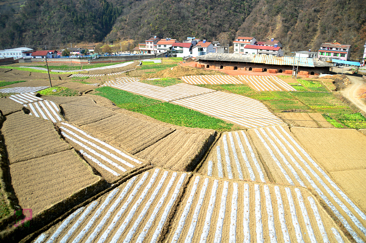 DSC_1940_副本.JPG