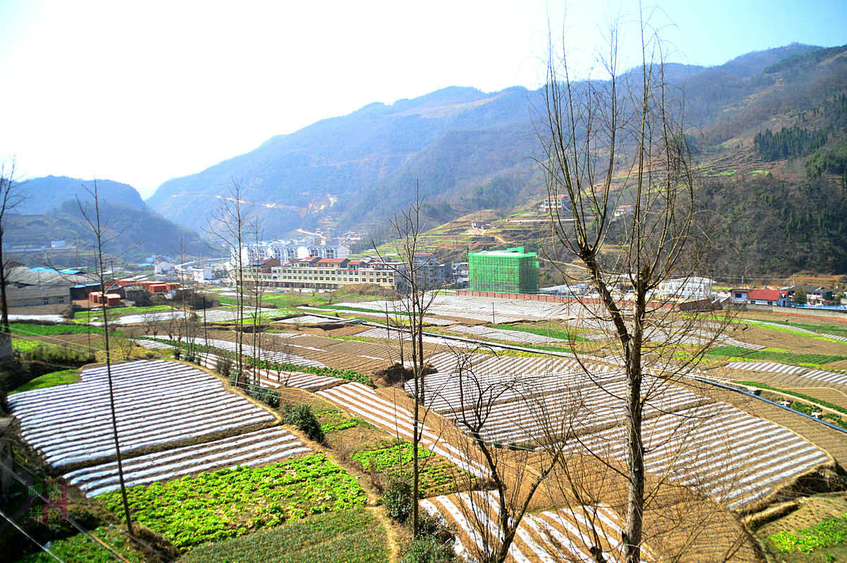 DSC_1947_副本.JPG