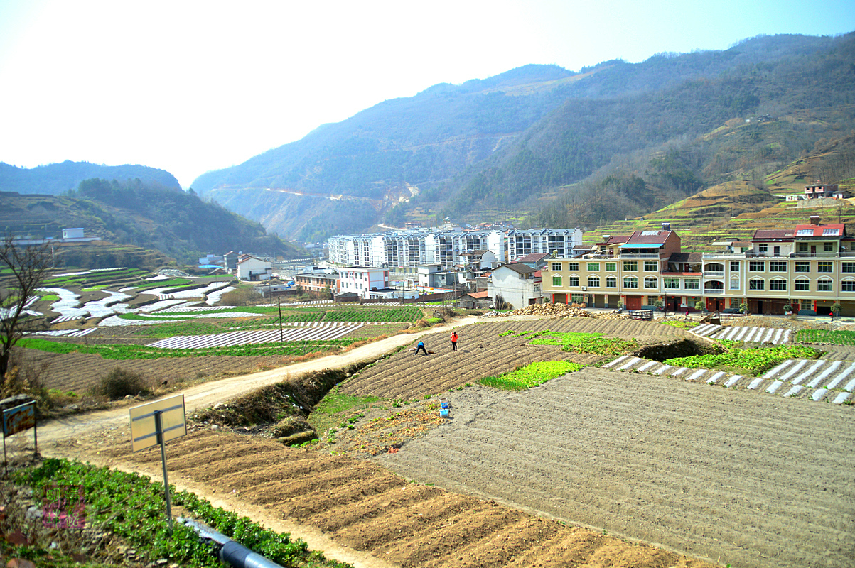 DSC_1964_副本.JPG