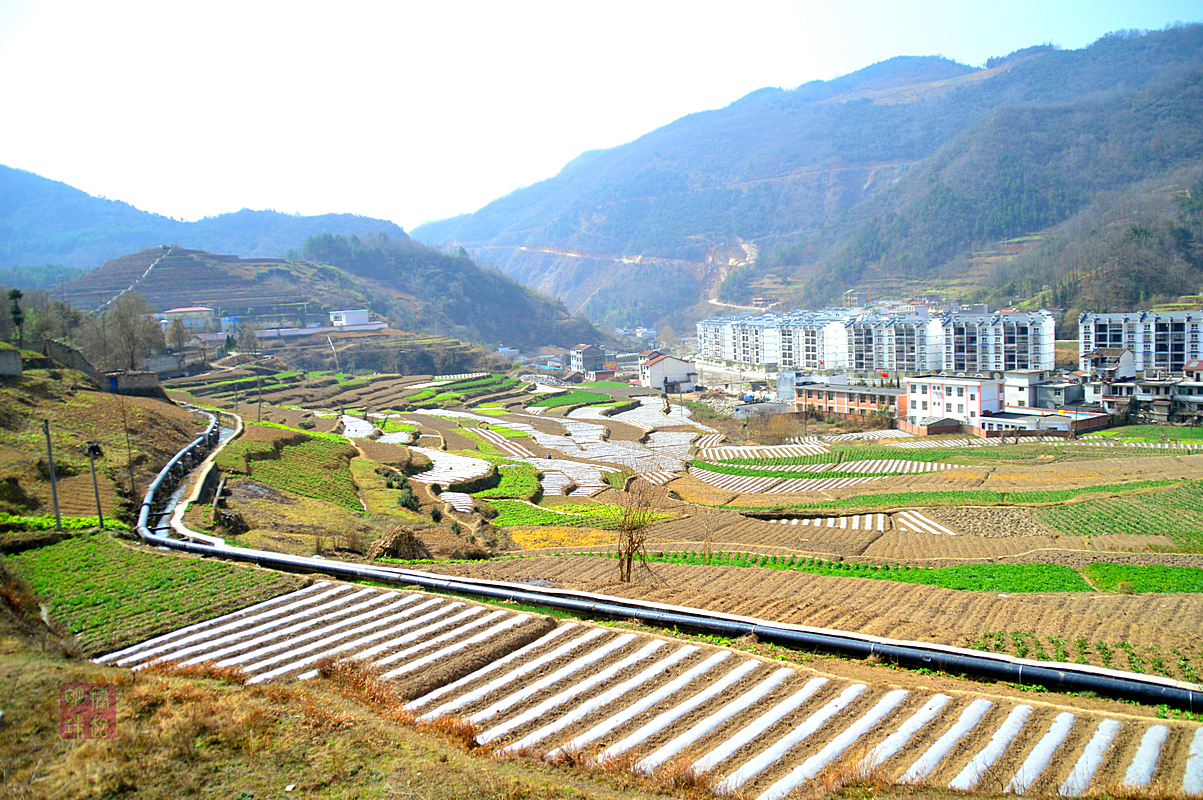 DSC_1970_副本.JPG
