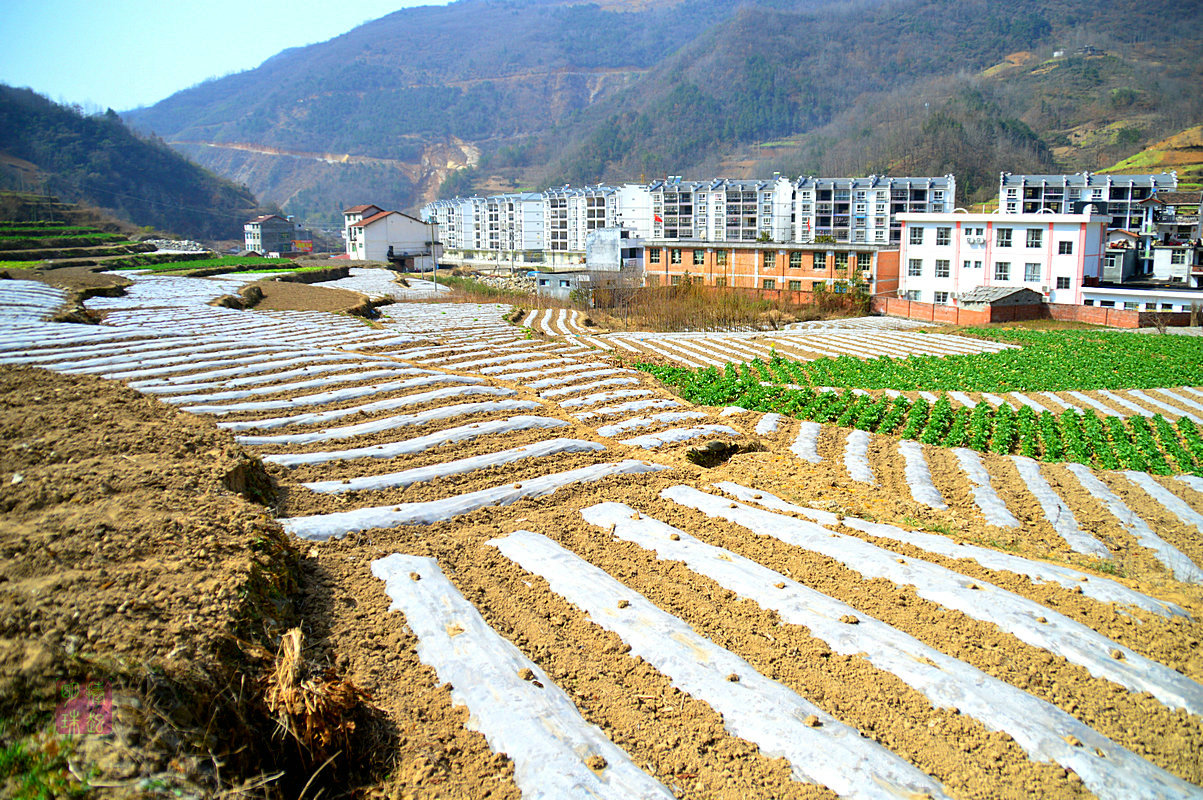 DSC_1913_副本.jpg