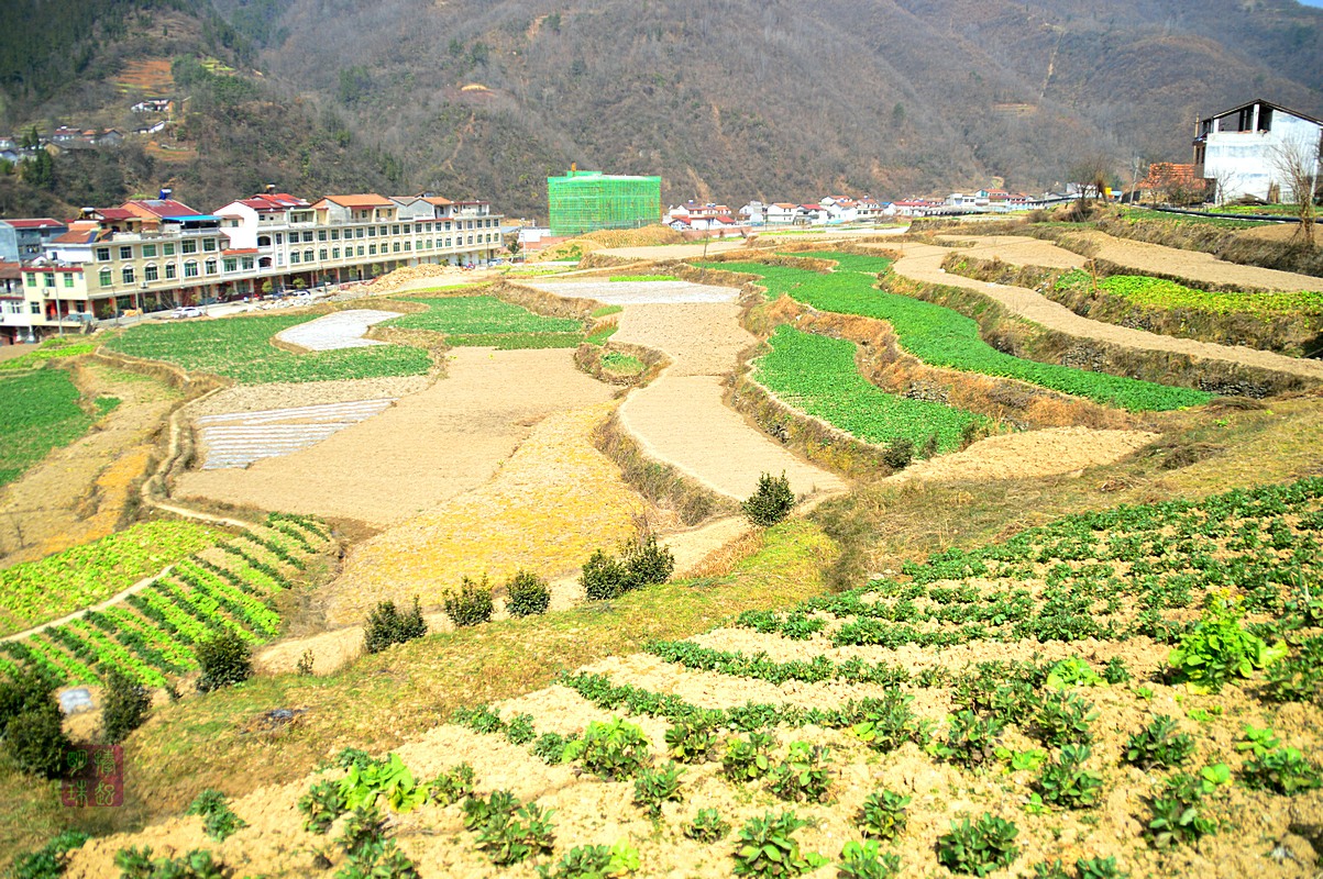 DSC_1923_副本.JPG