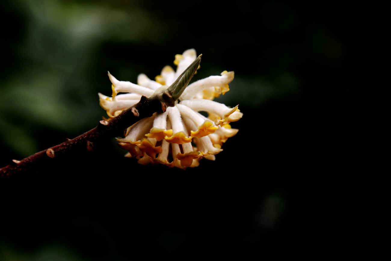 IMG_1736_副本.jpg