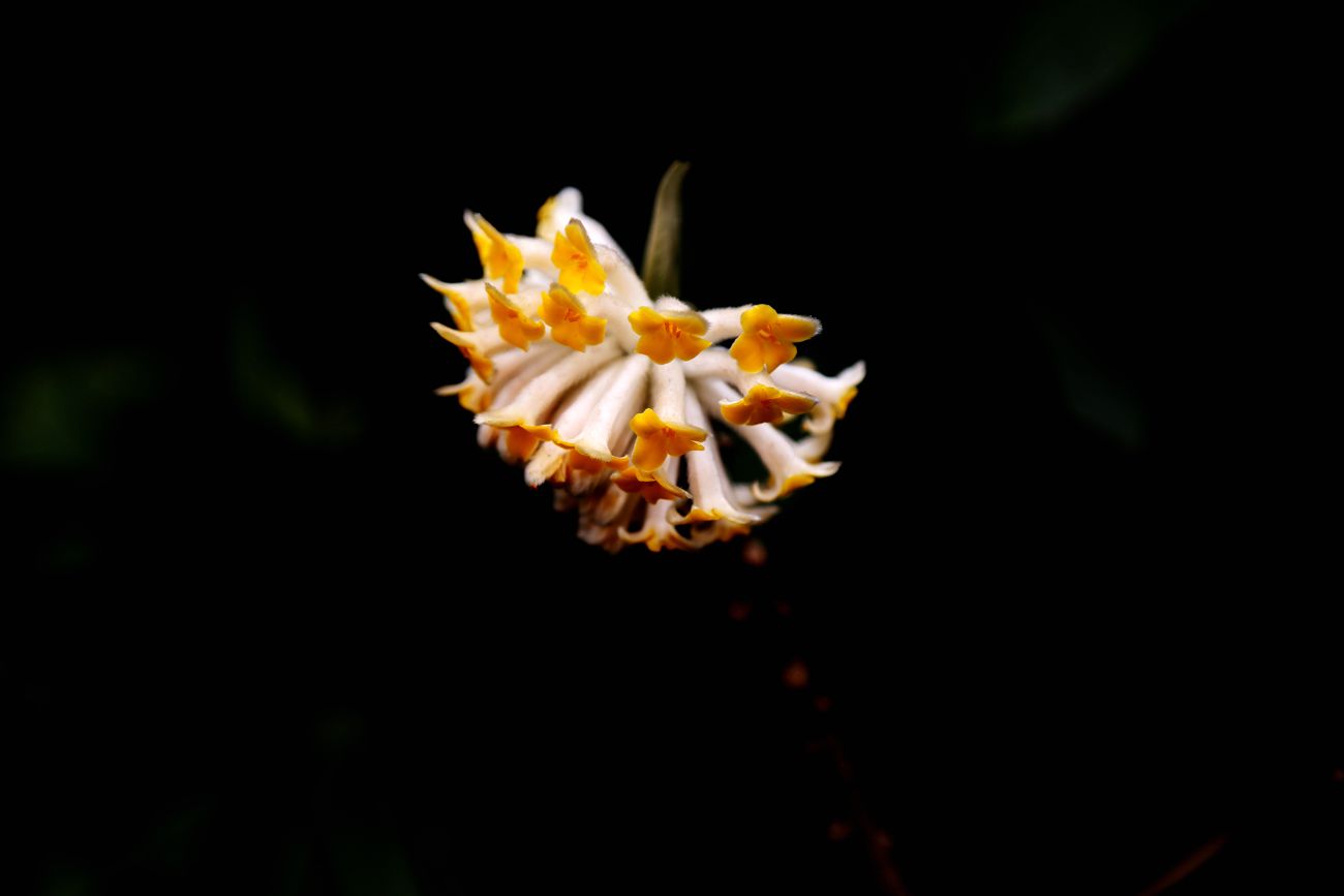 IMG_1765_副本.jpg