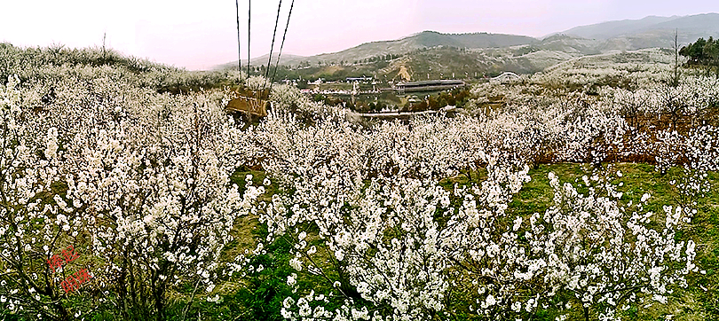 Pano_0013_mh1457262718903.jpg