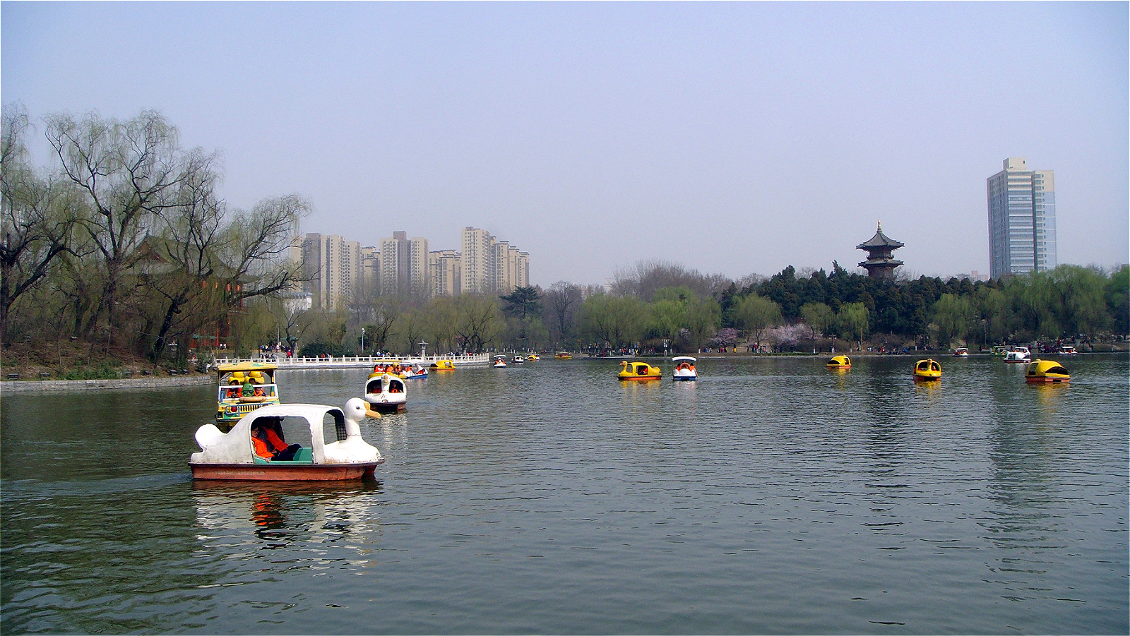 DSC06452_meitu_52.jpg
