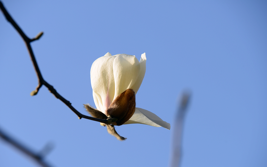 DSC_8049.JPG