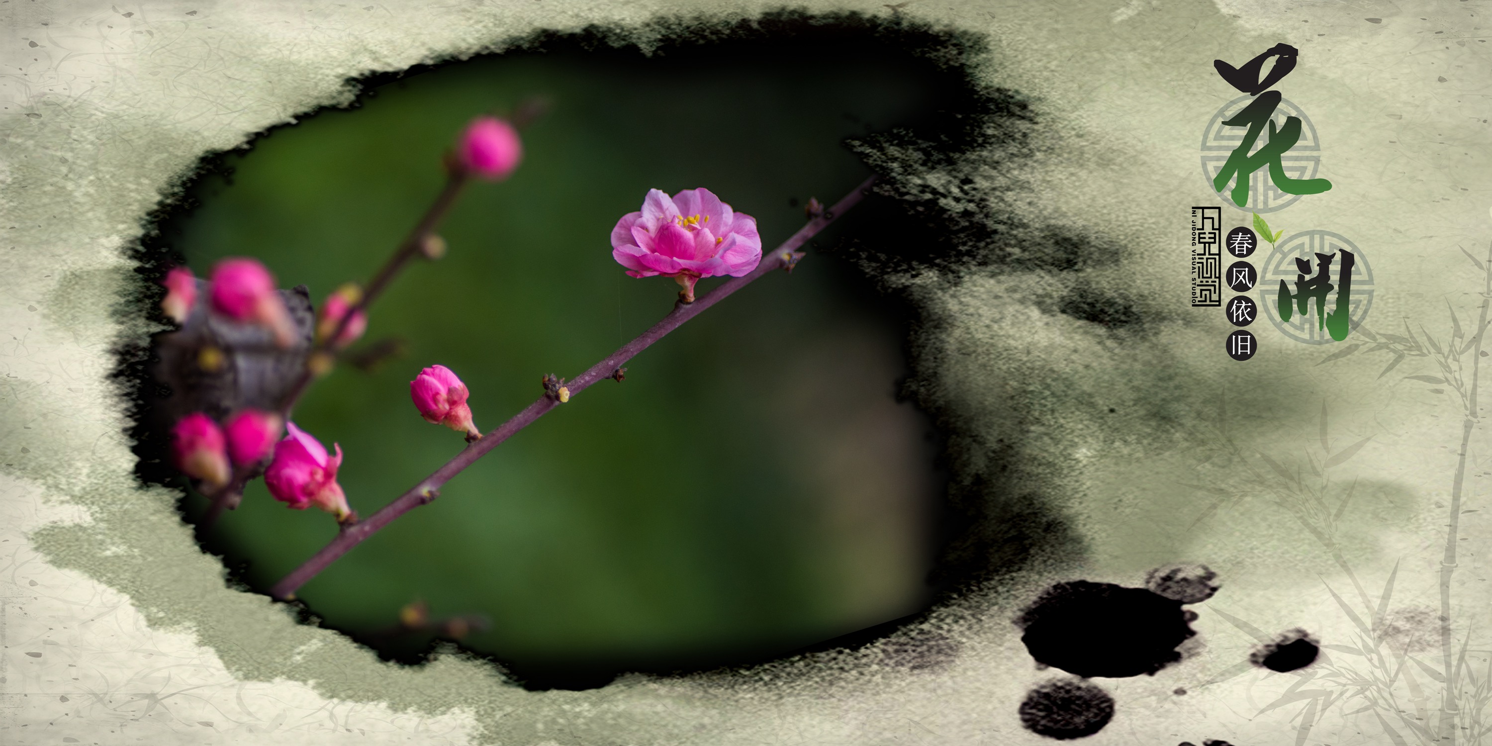 三月花开 (08).jpg