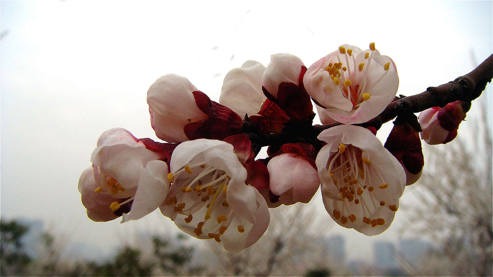 DSC06759_meitu_24.jpg