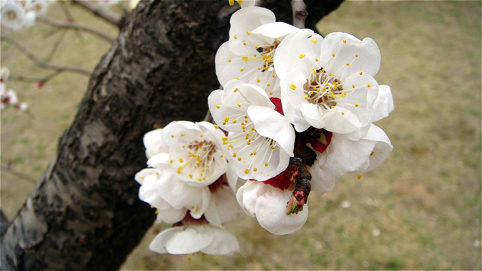 DSC06773_meitu_34.jpg