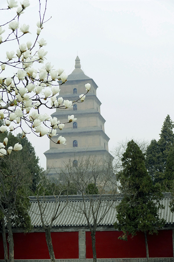 L9340074_副本.jpg