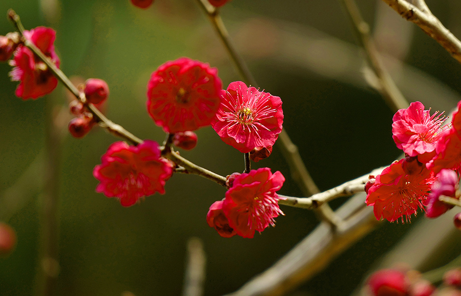 L9290843_副本.jpg