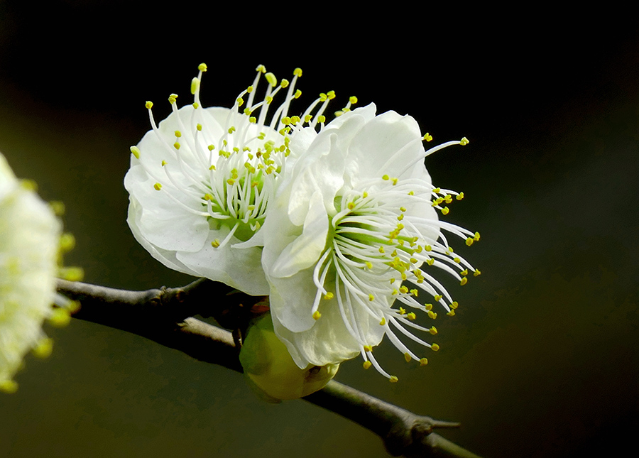 L9290790_副本.jpg