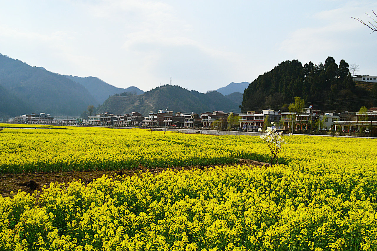 DSC_3205.JPG