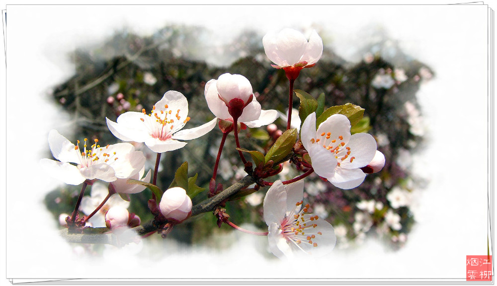 DSC07344_meitu_32.jpg