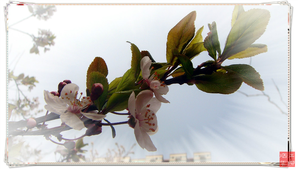 DSC07362_meitu_47.jpg