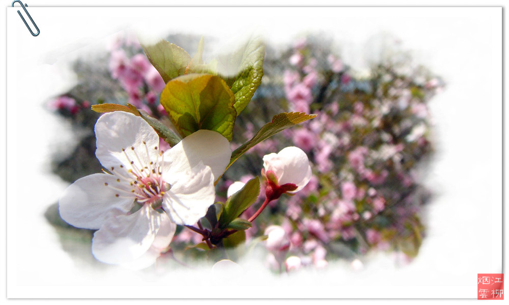 DSC07350_meitu_36.jpg
