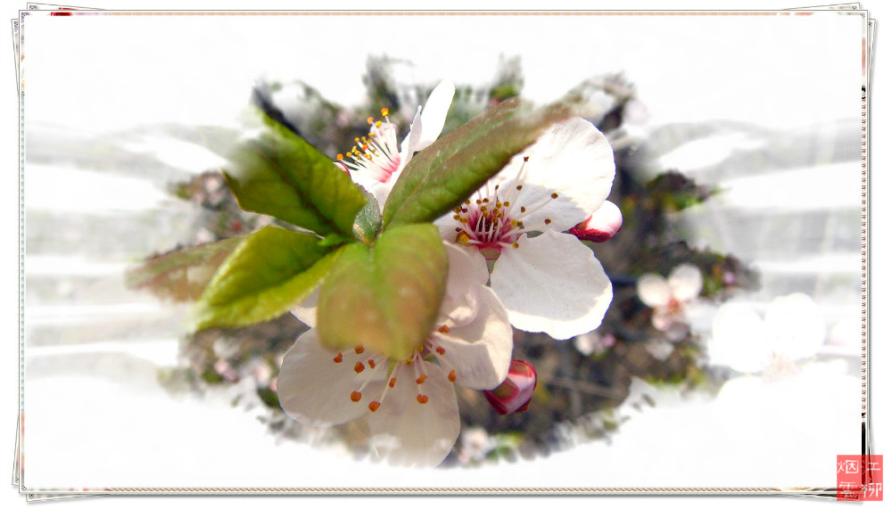 DSC07365_meitu_49.jpg