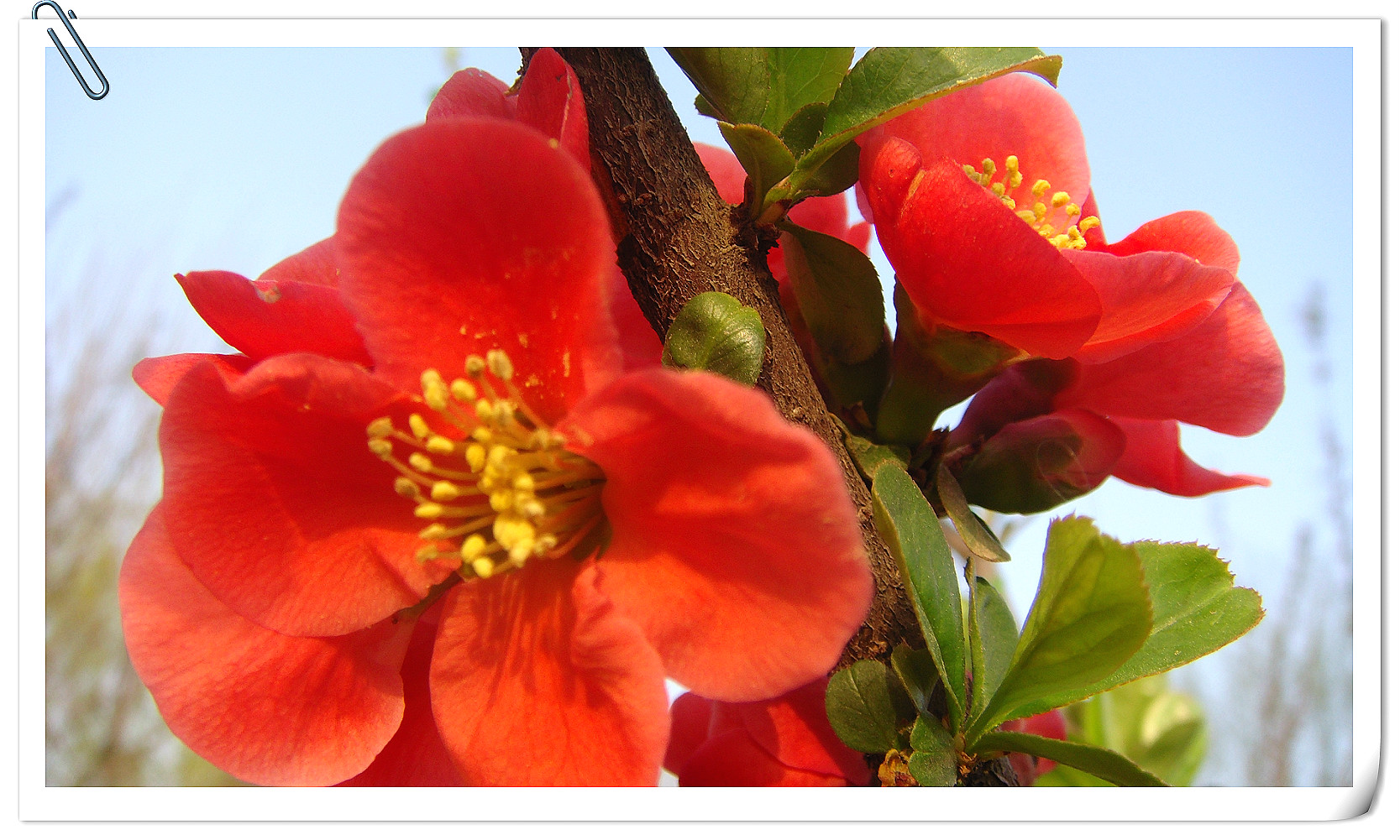 DSC07640_meitu_29.jpg