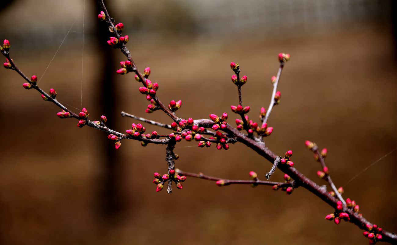 IMG_3060_副本.jpg