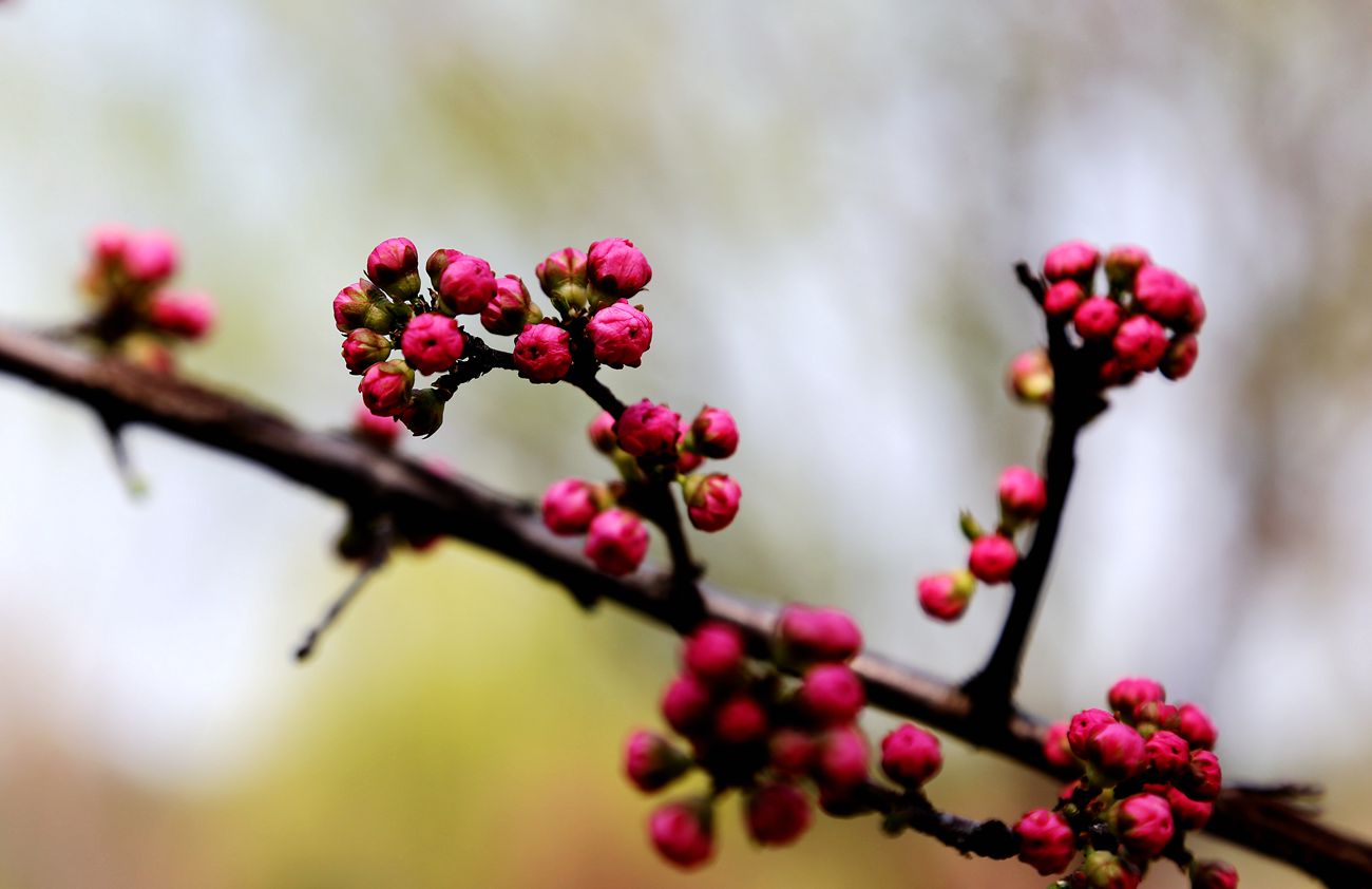 IMG_3293_副本.jpg