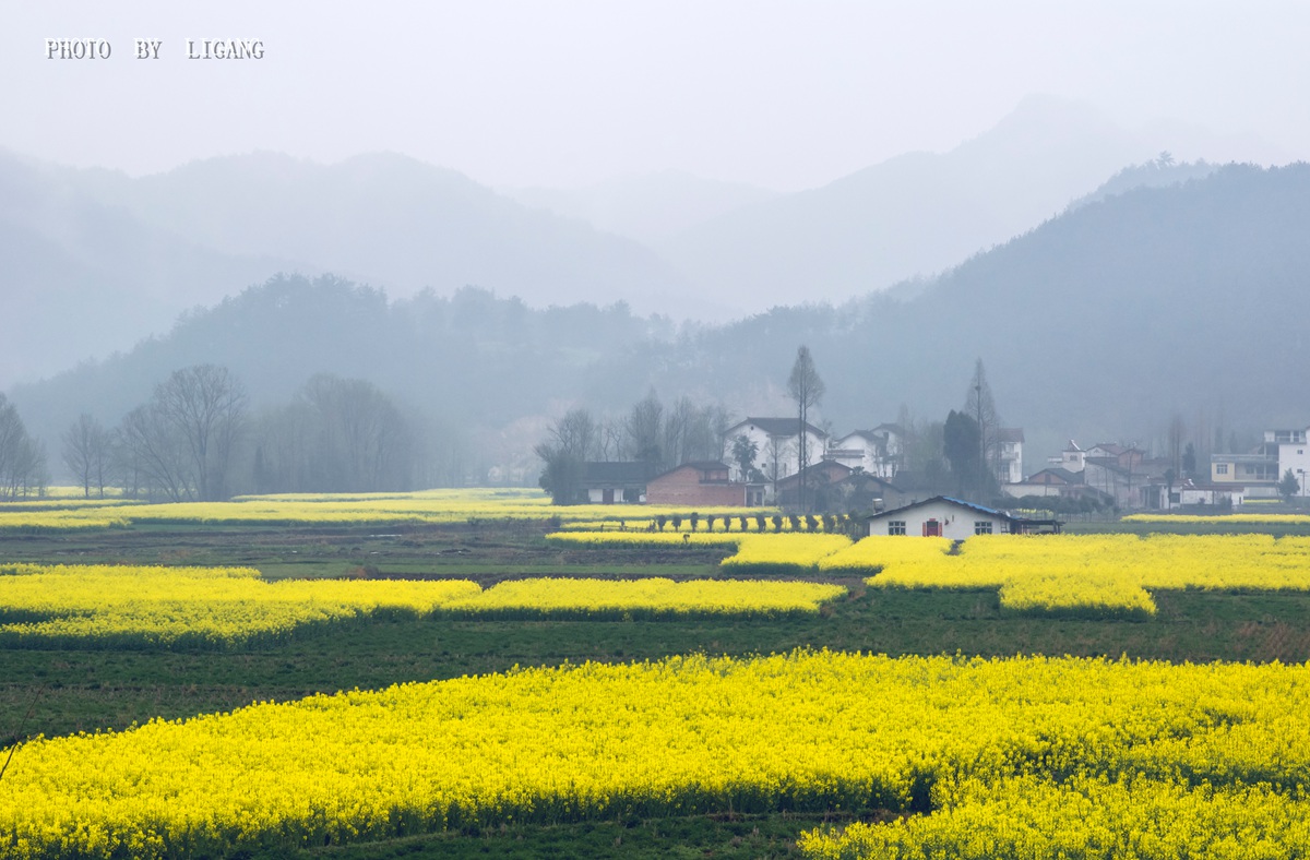 DSC_8342_副本.jpg