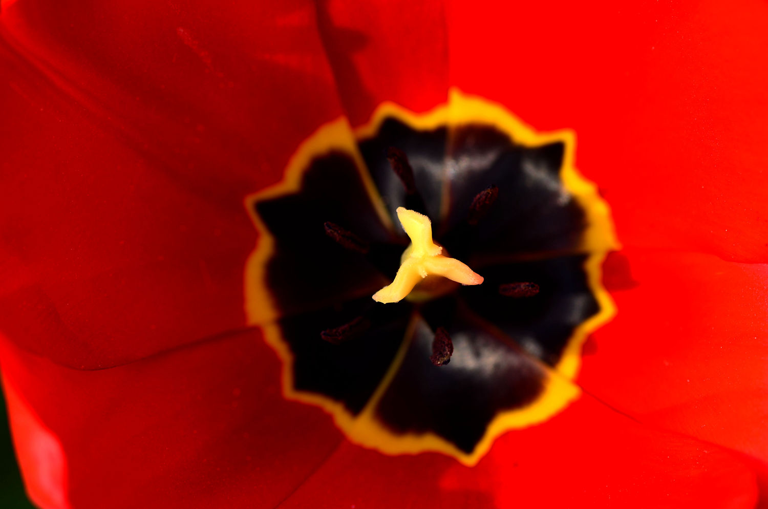 DSC_6753.JPG