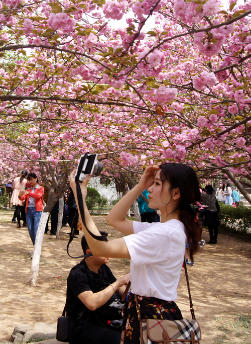 DSC08383_副本.jpg