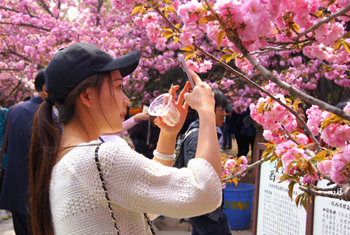 DSC08374_副本.jpg