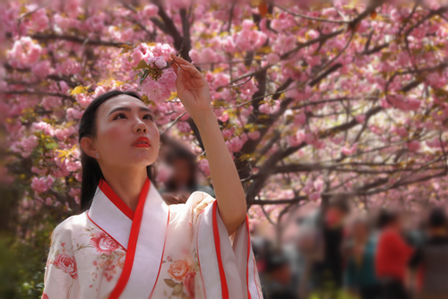 DSC08359_副本1.jpg