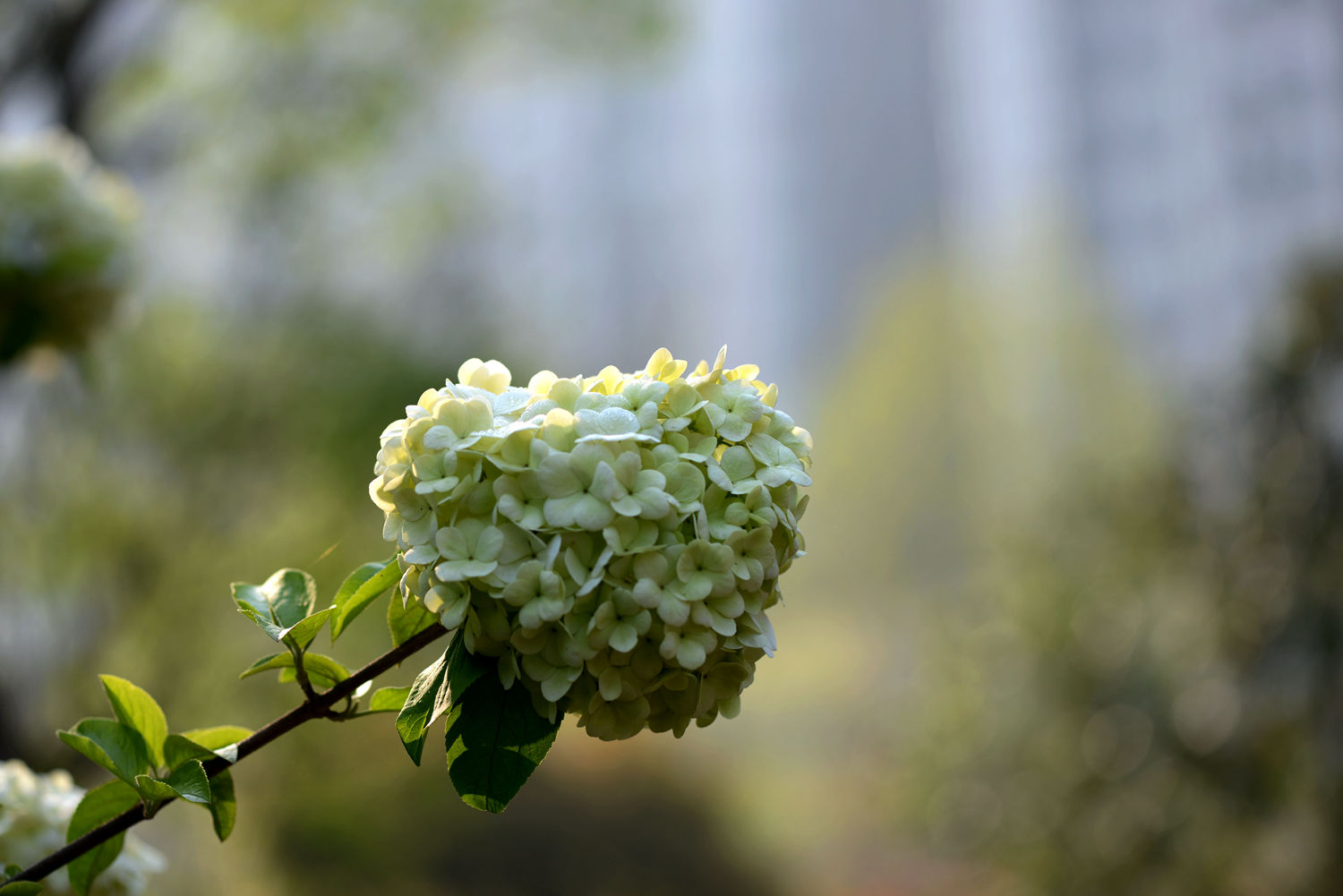 DSC_0268.JPG