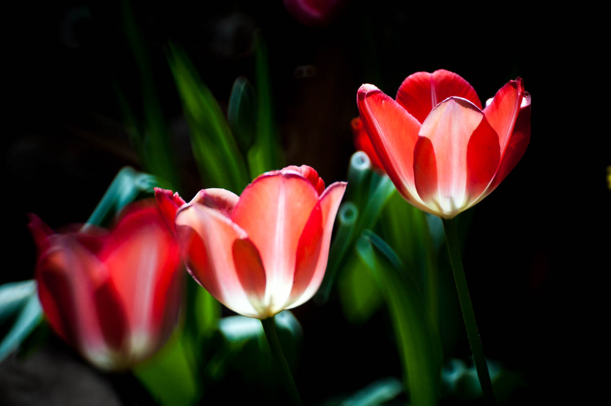 _DSC6755.jpg