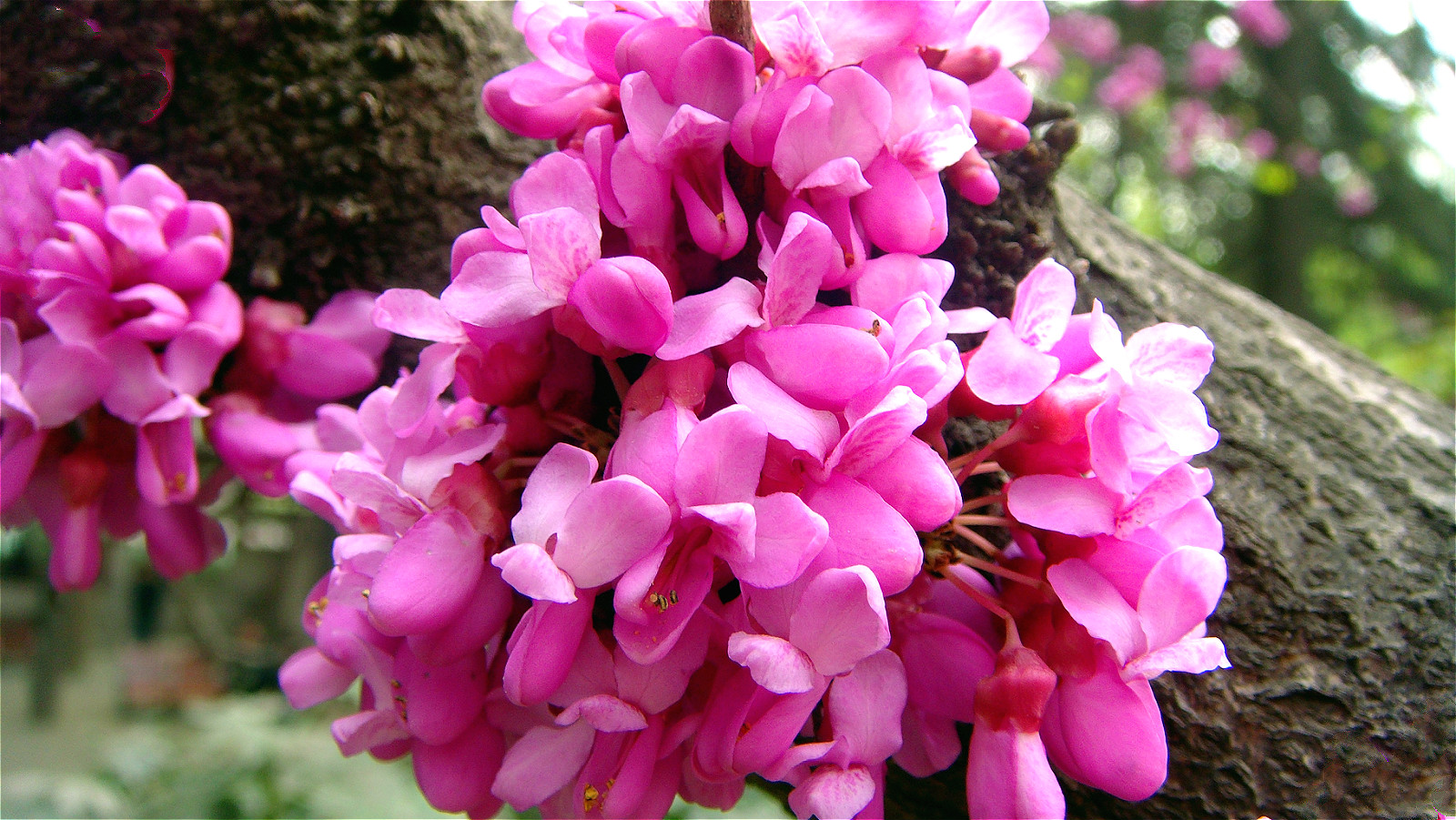 DSC09725_meitu_48.jpg