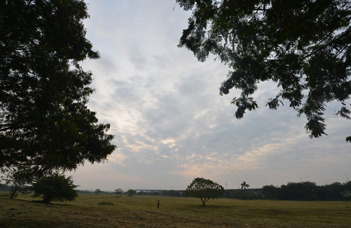 8.《旷野》摄于台湾高雄大树旧铁桥湿地公园.jpg