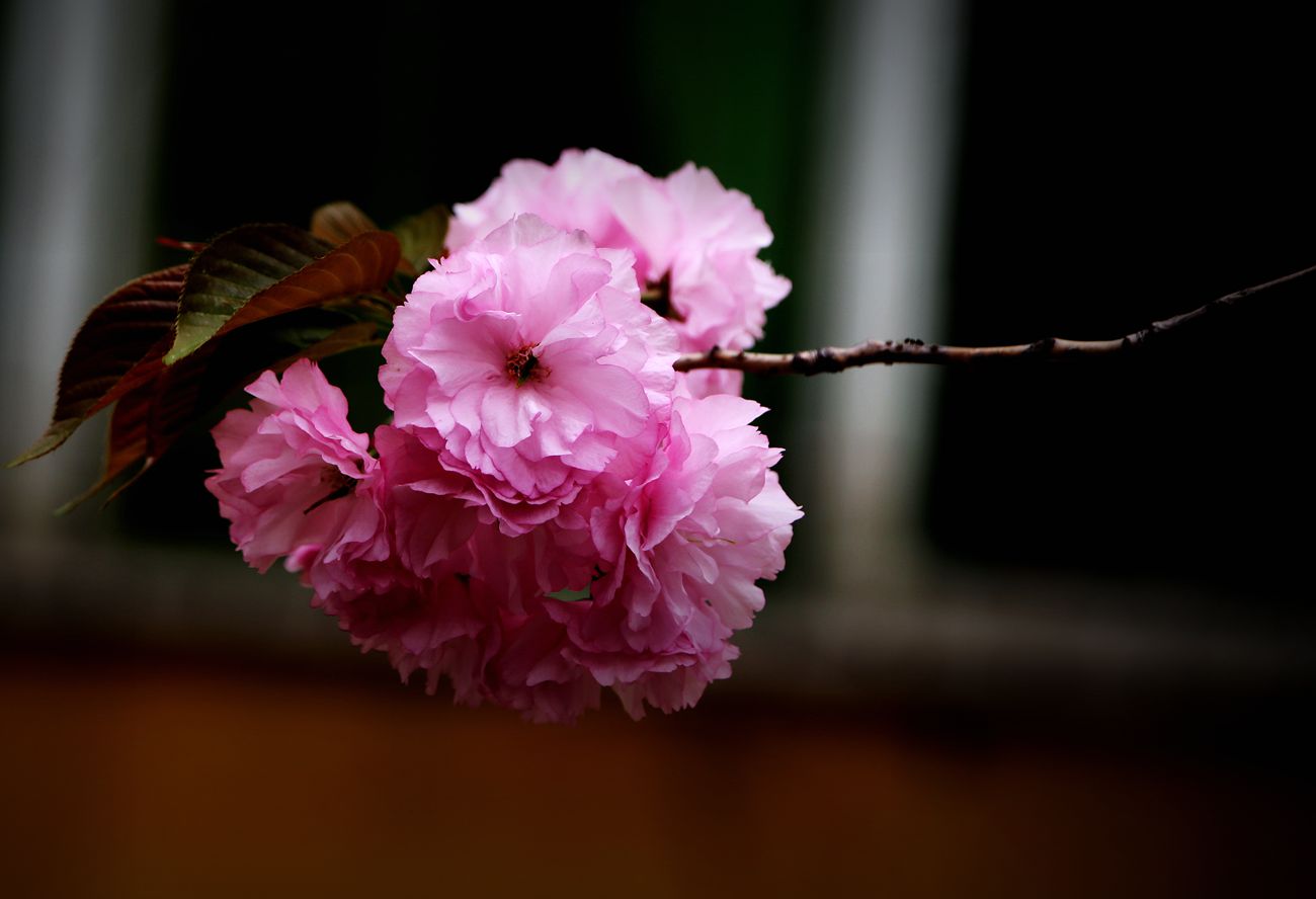 IMG_5706_副本.jpg