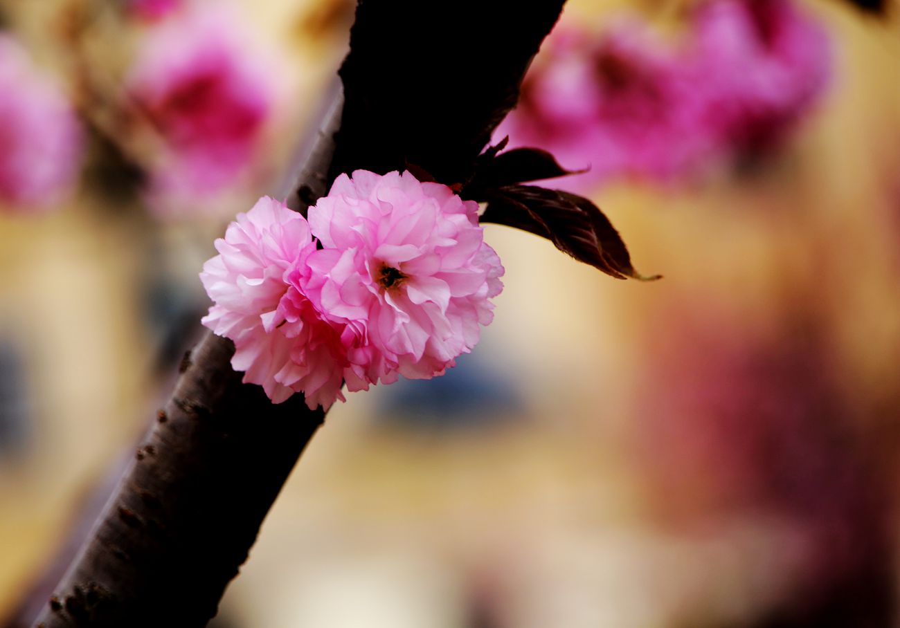 IMG_5721_副本.jpg