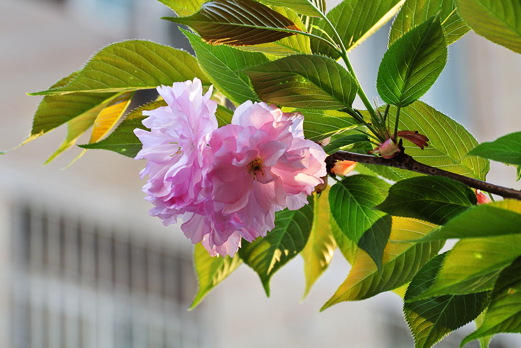DSC_6759副本.jpg