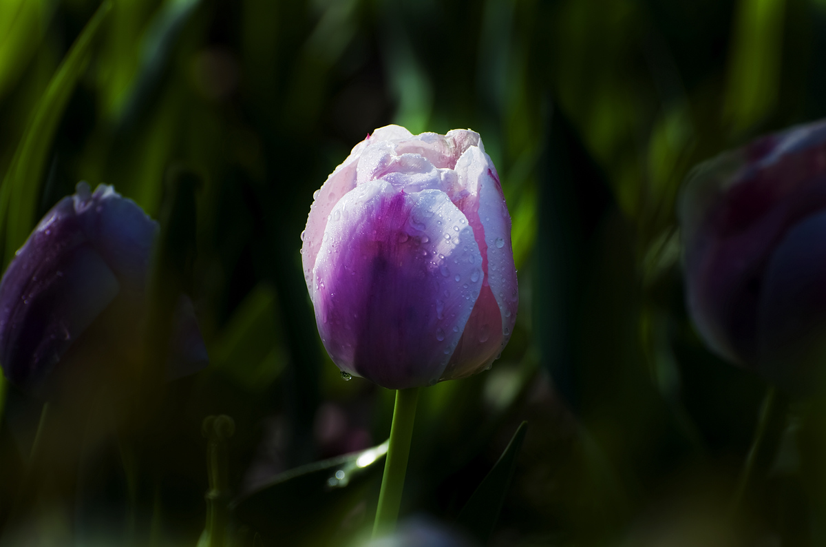 nEO_IMG_DSC_5514.jpg
