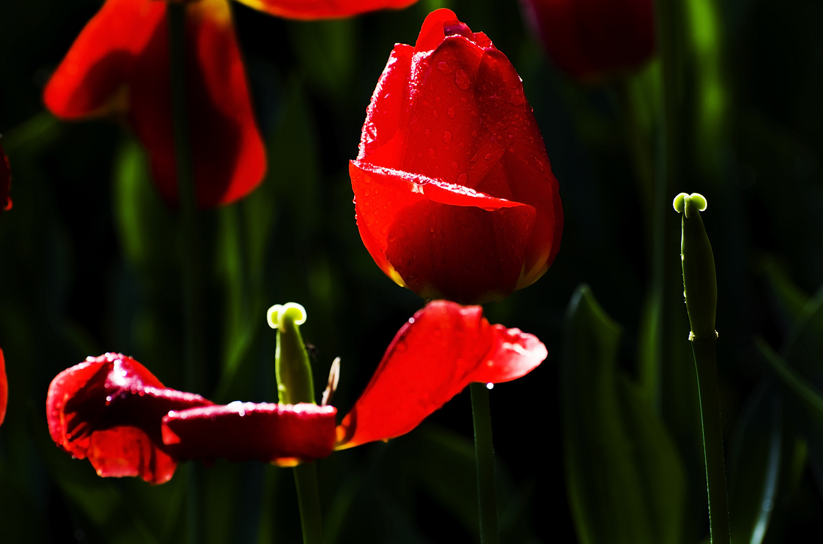 nEO_IMG_DSC_5517.jpg