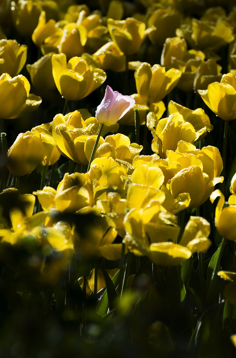 nEO_IMG_DSC_5541.jpg