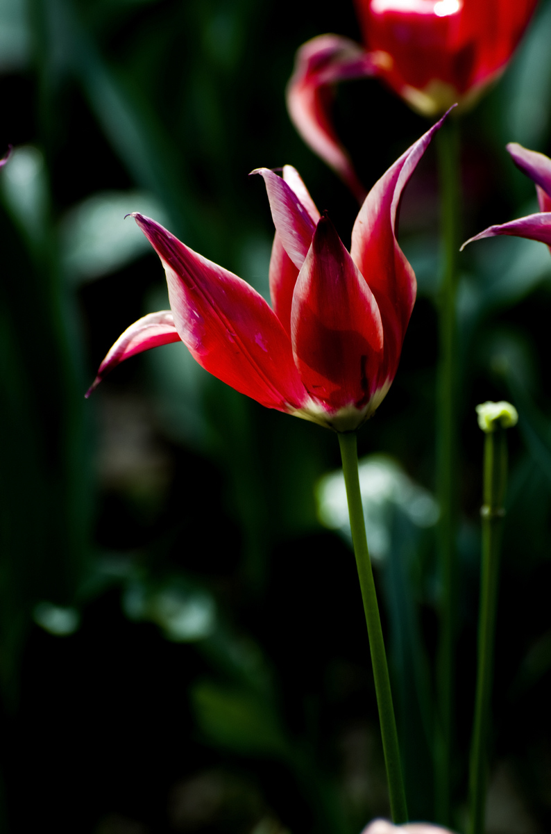 nEO_IMG_DSC_5599.jpg