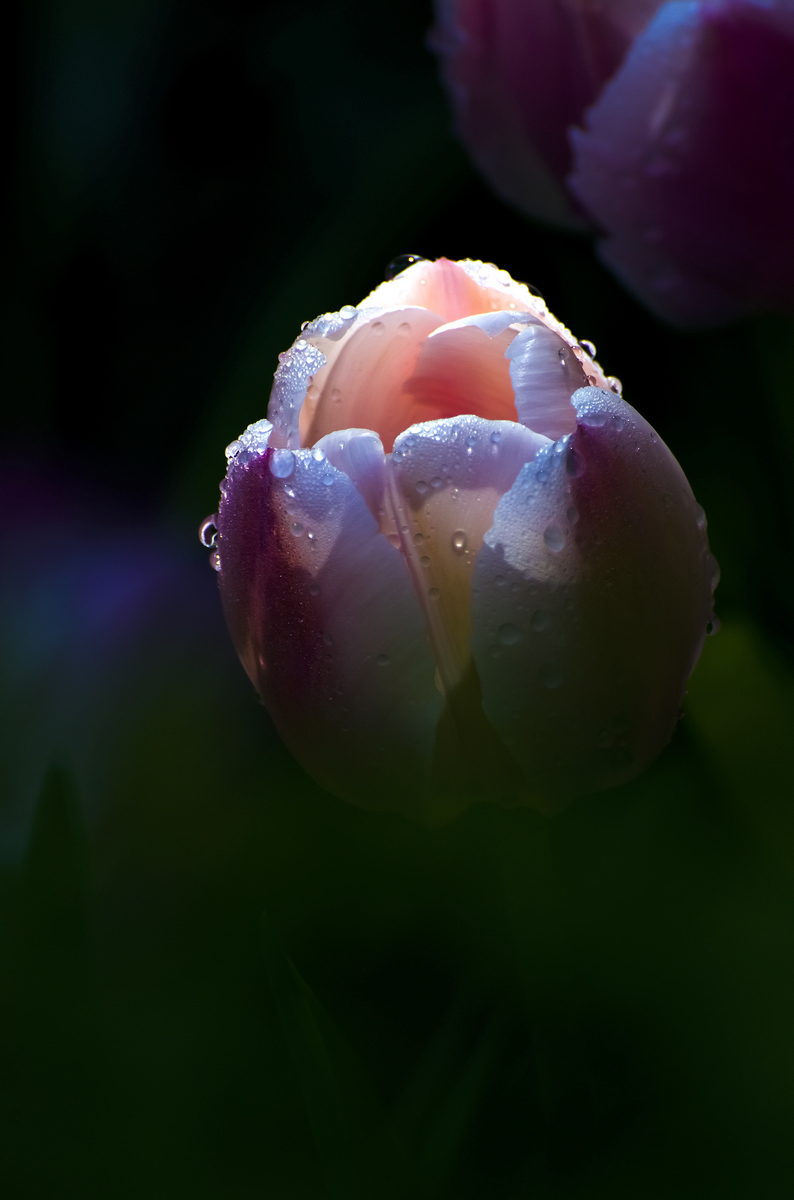nEO_IMG_DSC_5666.jpg